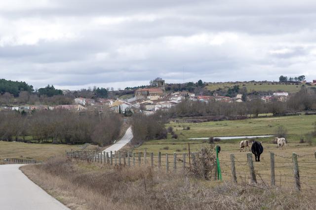 ENDRINAL
